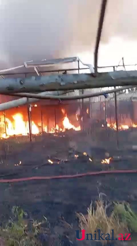 Şəmkirdə istixana yandı - FOTO